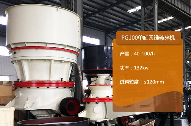 PG100�A�F����C