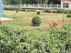 �����Vɽ�S�^����